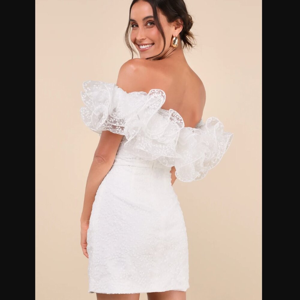 NWT XS Lulu's Embroidered Ruffled Mini Dress - Picture 4 of 8